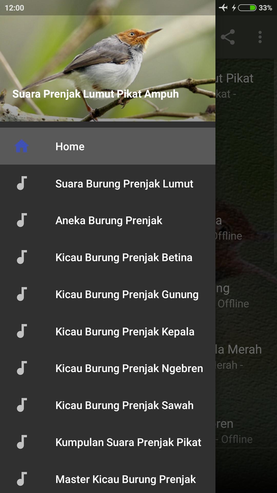 Suara Prenjak Lumut Pikat For Android Apk Download