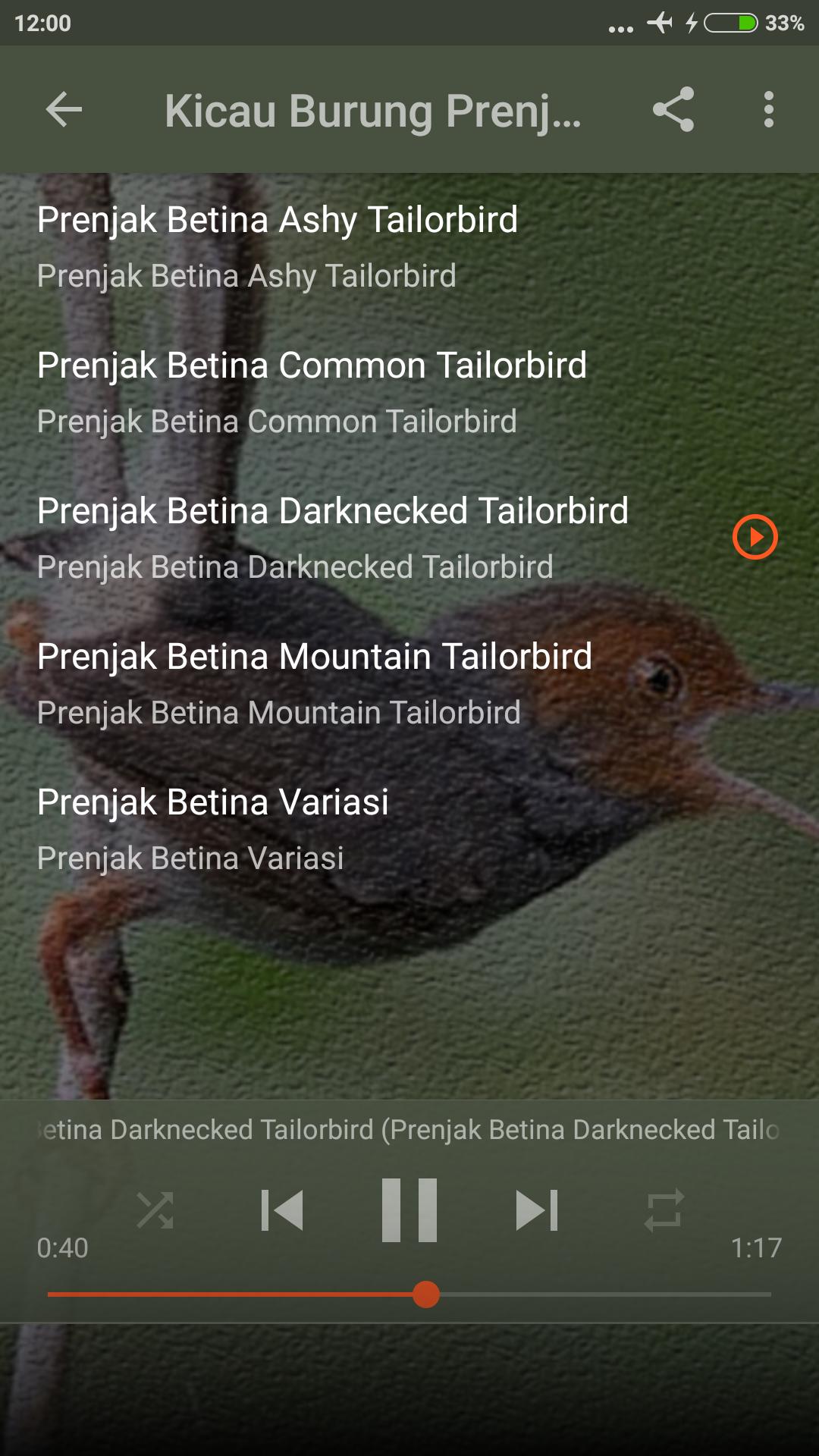 Suara Prenjak Lumut Pikat For Android Apk Download
