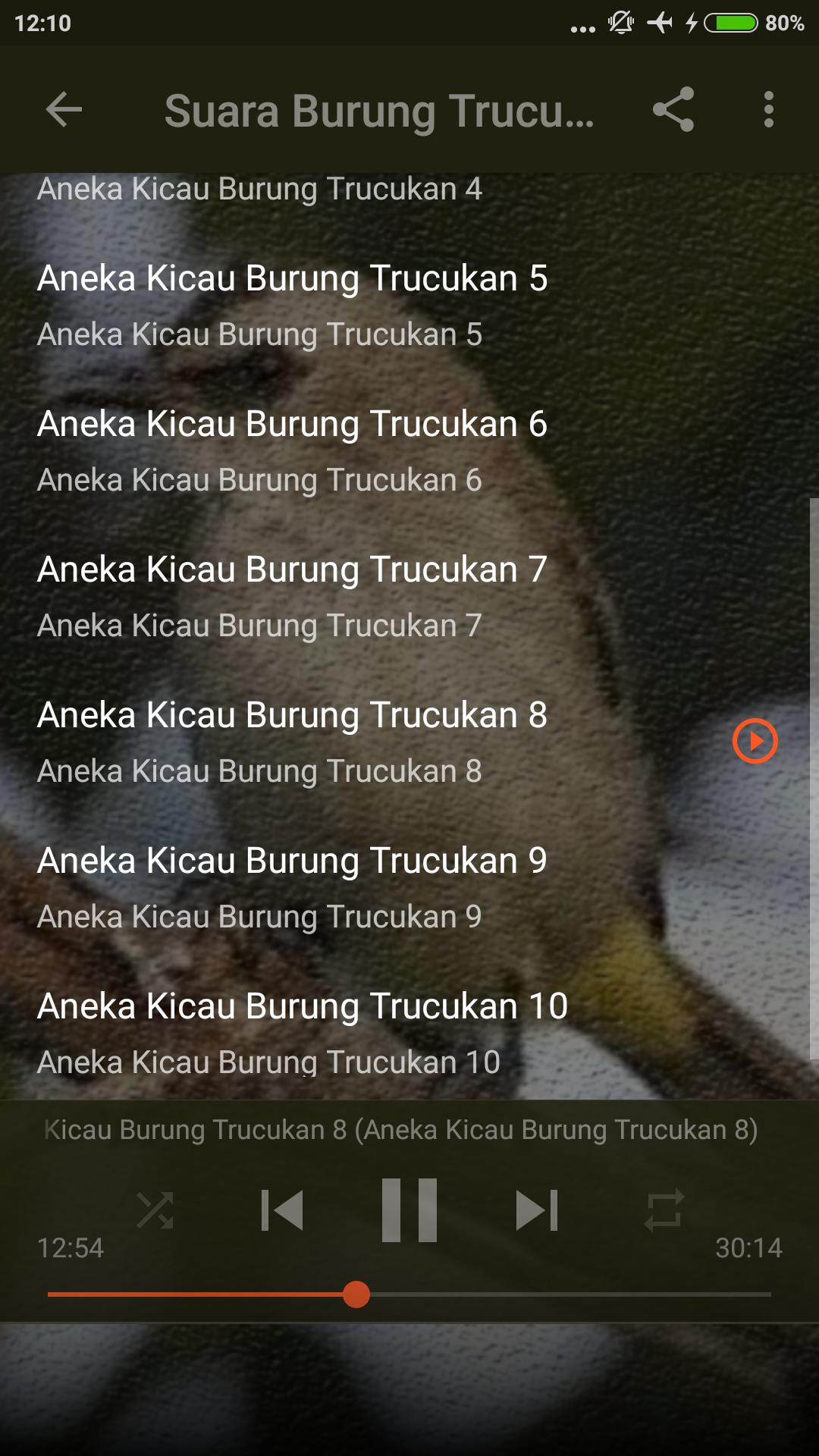 Suara Burung Trucukan Pikat For Android Apk Download
