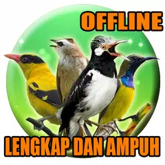 Suara Masteran Untuk Semua Jenis Burung Kicau Cocok Buat Masteran Youtube