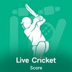 Live Cricket Score Prediction