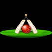 WORLDCUP - 2024 Tips आइकन