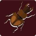 HD Matrial  Beetle
