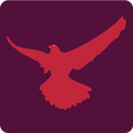 HD Material Eagle