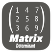 Matrix Determinant Calculator