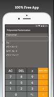 Polynomial Factorization Affiche