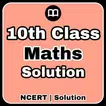 Class 10 Maths Notes & MCQs