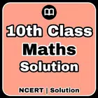 Class 10 Maths Notes English icon