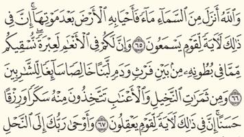 مصحف القرآن الكريم مكتوب скриншот 3