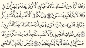 مصحف القرآن الكريم مكتوب تصوير الشاشة 3