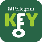 Pellegrini Key icône