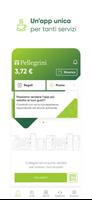 Pellegrini Key Affiche