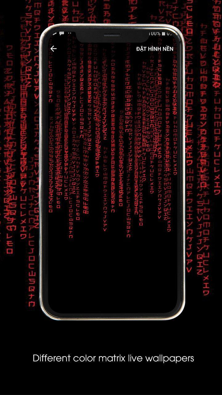 下载Matrix Live Wallpapers, Matrix Code Live Wallpaper的安卓版本 下载Matrix Live Wallpapers, Matrix Code Live Wallpaper的安卓版本