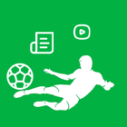 Toesball icono
