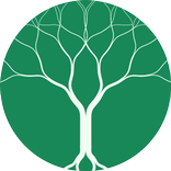 Cusack: Your Now Playing Guide