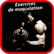 Exercices de Musculation