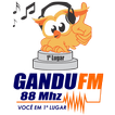 Gandu FM icon