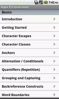Regex Pro Quick Guide Free Affiche