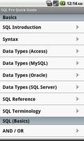 SQL Pro Quick Guide постер