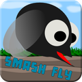 Smash fly