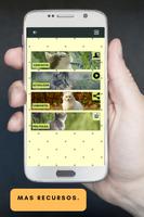 ringtones y tonos de gatos imagem de tela 3
