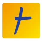TEOLIS PAY icon