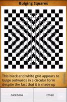 1 Schermata Optical Illusions