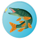 Pêche Poisson Compteur APK