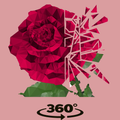 Rose Polysphere 3D Puzzle Game 2020