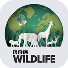 Nature TV: BBC Wildlife ไอคอน