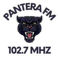 Pantera FM 102,7 постер