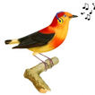 Uirapuru FM ícone