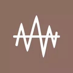 最大測振儀 XAPK 下載