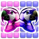 APK Match Pairs - Two Parrots