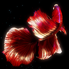 BETTA 120HZ icono