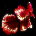 BETTA 120HZ icône