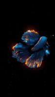 BETTA 120HZ captura de pantalla 1