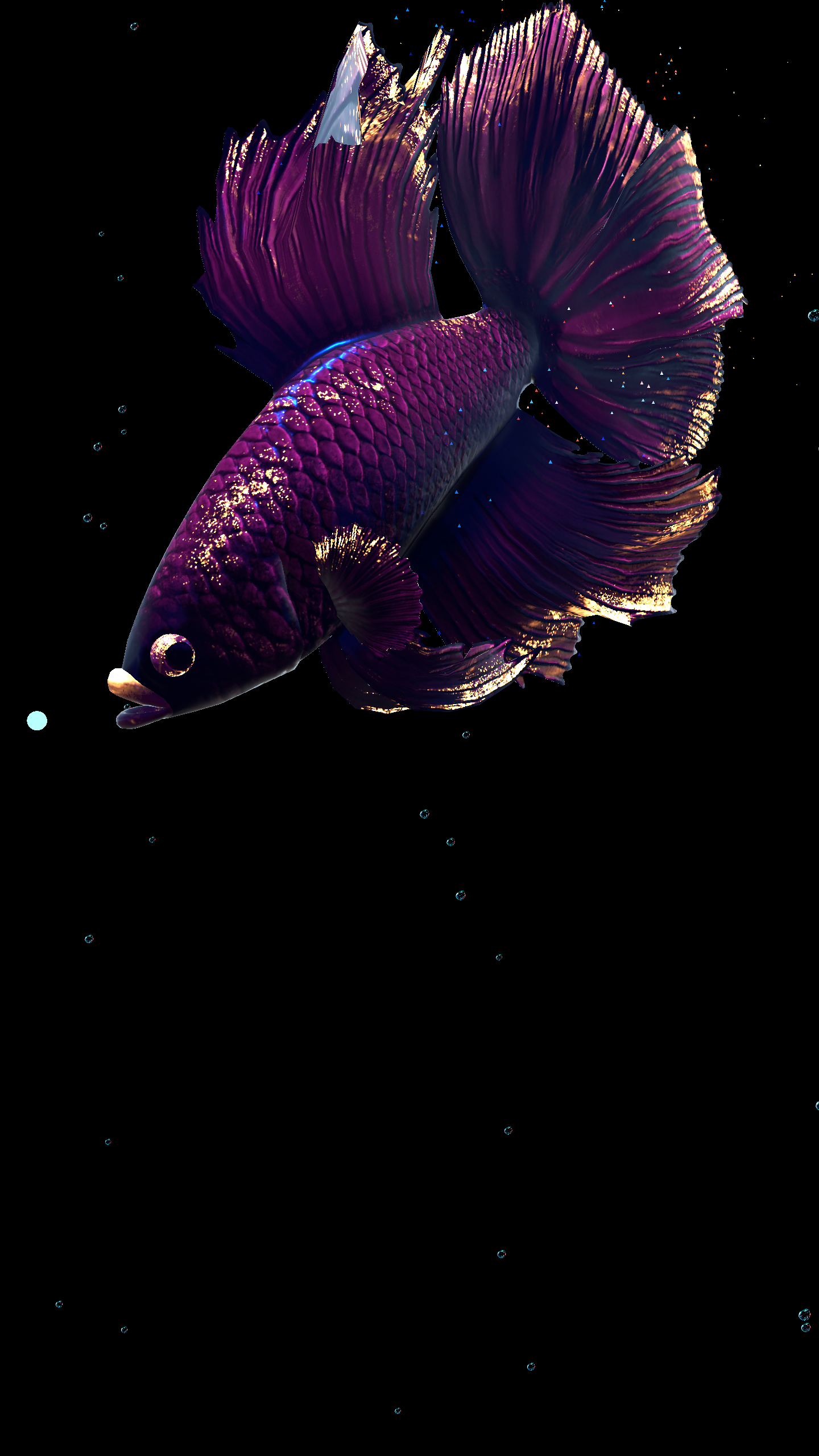 Betta Fish APK for Android – Download Betta Fish APK Latest Version from Betta Fish APK for Android – Download Betta Fish APK Latest Version from