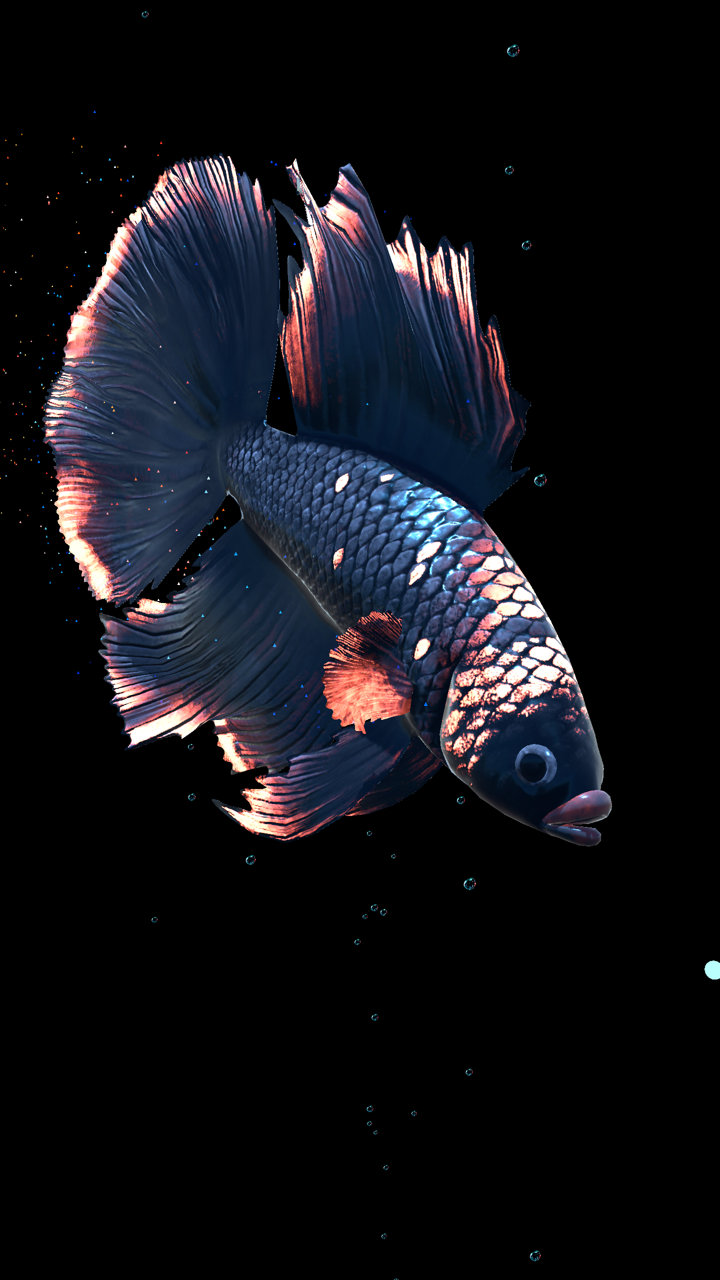 Betta Fish Live Wallpaper FREE APK 1.4 Download for