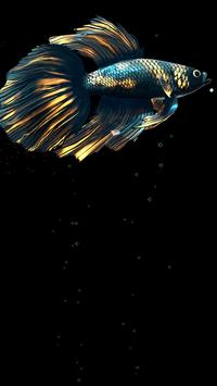 Betta Fish Live Wallpaper FREE 截图 17