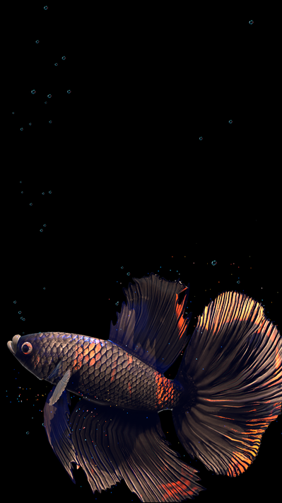 Betta Fish screenshot 7