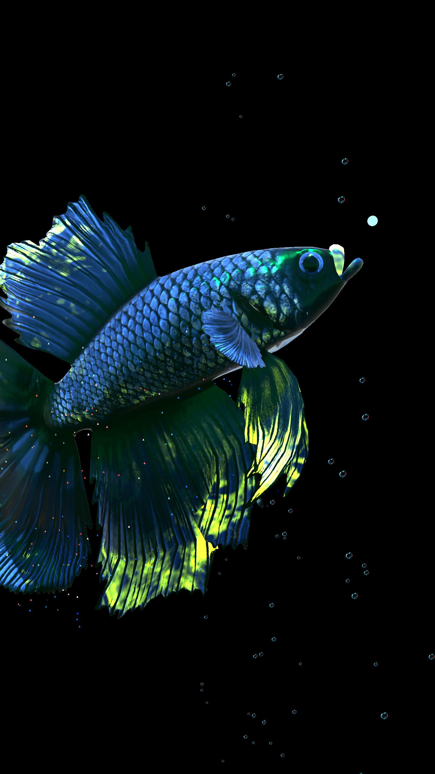 Betta Fish Live Wallpaper FREE for Android - APK Download