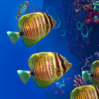 Ocean Aquarium biểu tượng