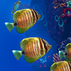 Ocean Aquarium ícone