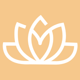 ZALO REMOTE PRO APK