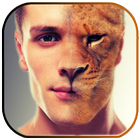 Animal Face Morphing icon