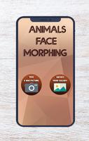 برنامه‌نما Animal Face Morphing عکس از صفحه