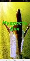 Мудрость Дня Affiche