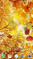 Falling Leaves Live Wallpaper اسکرین شاٹ 2