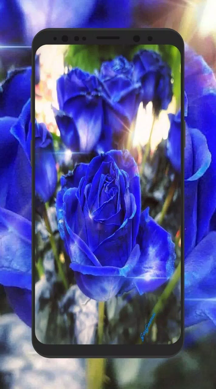 Fleurs D Amour Gif For Android Apk Download